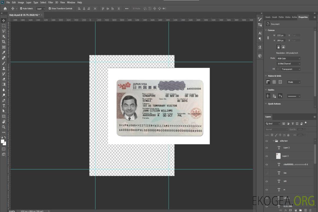 Visa touristique au Japon template Visa touristique au Japon template